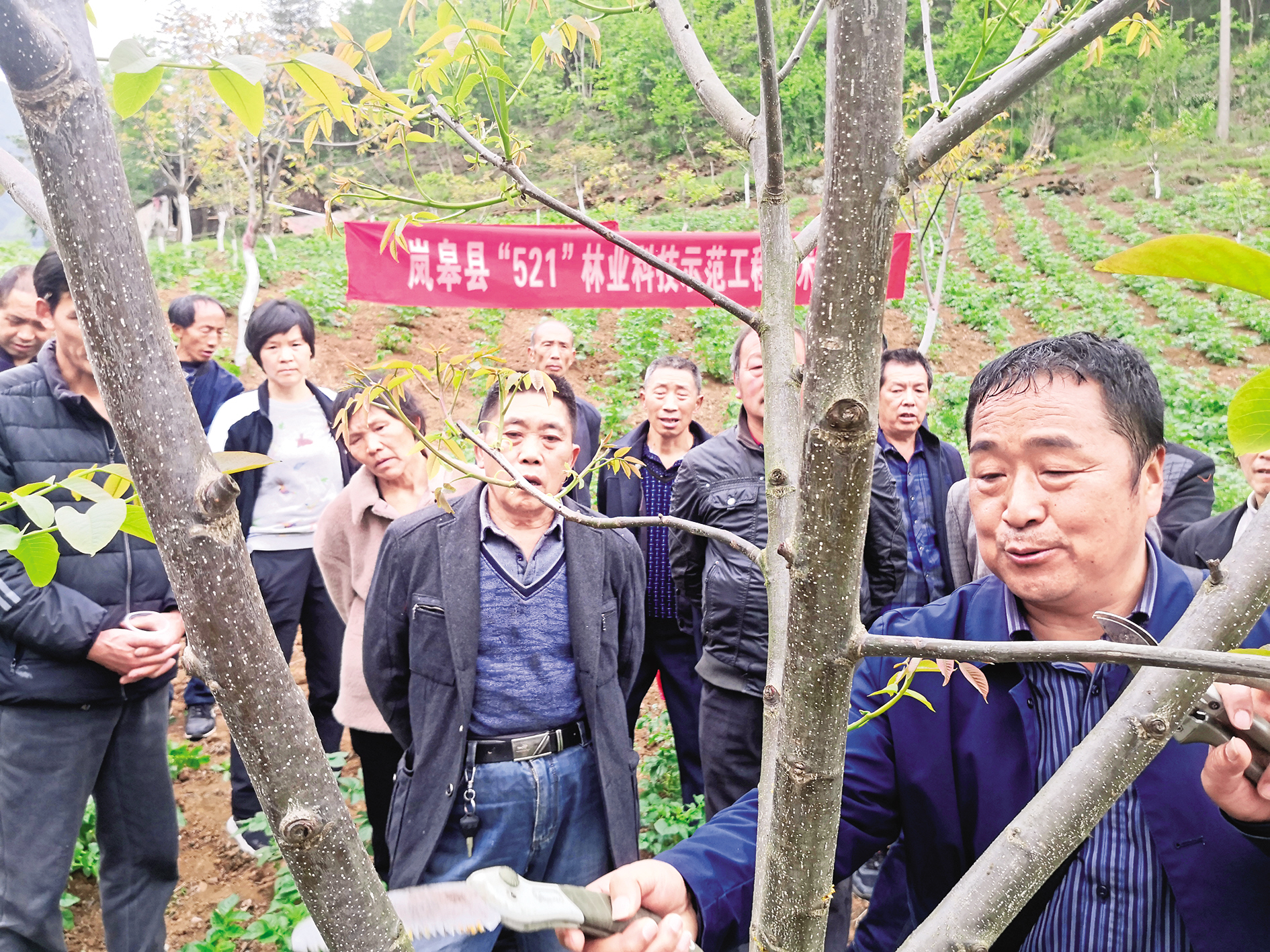 陈延安 摄通讯员 陈延安 刘秋洪不久前